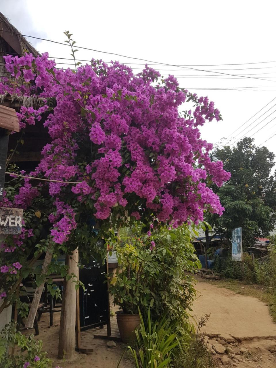 Lattanavongsa Guesthouse And Bungalows บ้านงอยเหนือ ภายนอก รูปภาพ